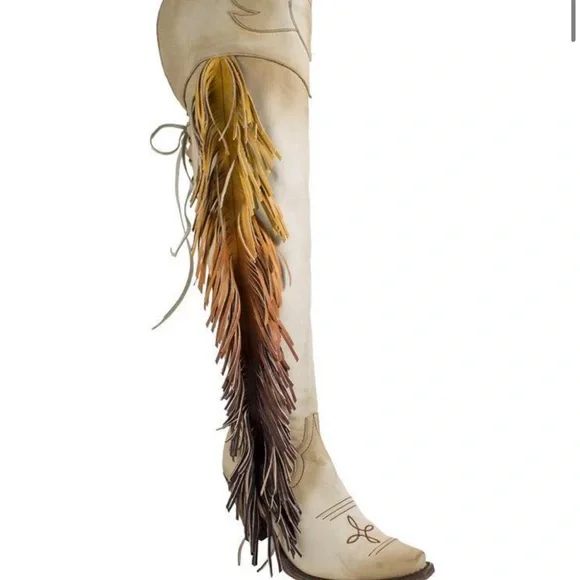 Junk gypsy Tan Heeled Boots with Fringe - Picture 5 of 11